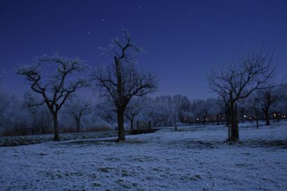 Woerden
The park on a moonlight frosty night
Keywords: Holland