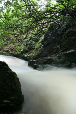 Misty Burn
A bit of time here
Keywords: Scotland