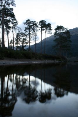 Loch Eck
By Dunoon Argyll Scotland
Keywords: Scotland